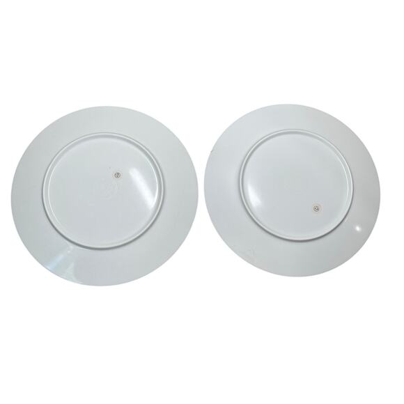 Pottery Barn Kids Melamine Plates Easter Bunny Rabbit Springtime Toddler Meal 9" - Picture 5 of 5